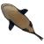 Click to see this image