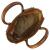 Click to see this image